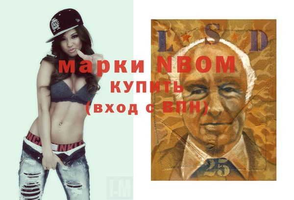 крисы Пенза