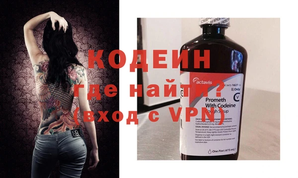 крисы Пенза