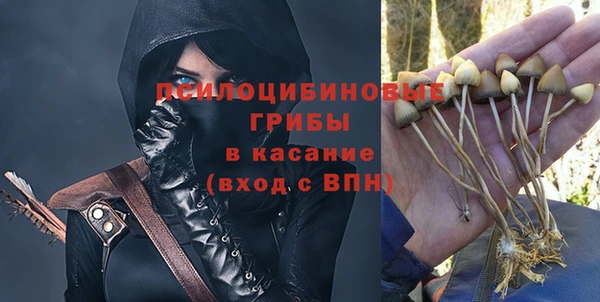 тгк Кукмор