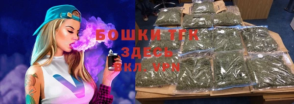 крисы Пенза