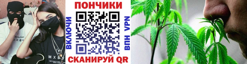 купить наркоту  Ужур  OMG ССЫЛКА  Бошки марихуана ГИДРОПОН 